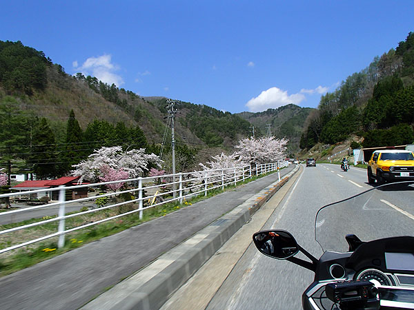開田高原への道（国道３６１号線）